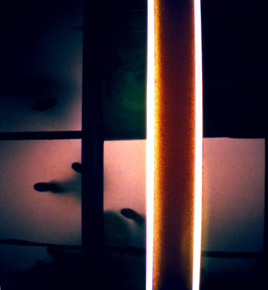 MAURICIO MUNUERA Wannabe Rothko